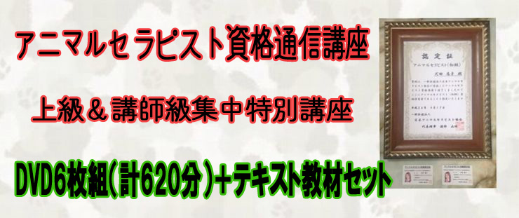 バナー認定できあがりjpg