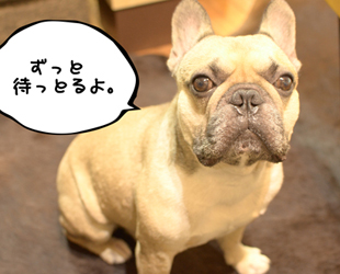 資格取得講座のイメージ